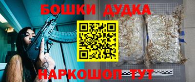 PSILOCYBIN Брянск