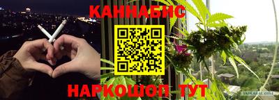 PSILOCYBIN Брянск
