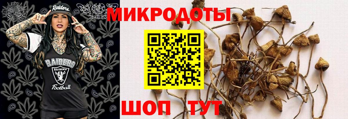 наркота  Псилоцибиновые грибы GOLDEN TEACHER  Вход с VPN  Тихорецк 